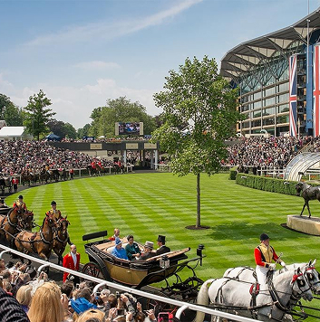 Luxury Chauffeur to Royal Ascot